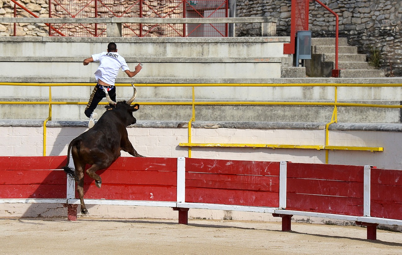 为何武磊在