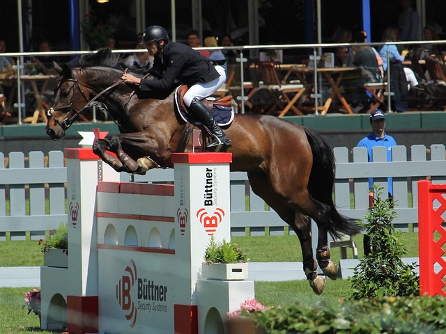 【原创】今日竞彩足球推荐：周日016德甲 不来梅VS奥格斯堡.