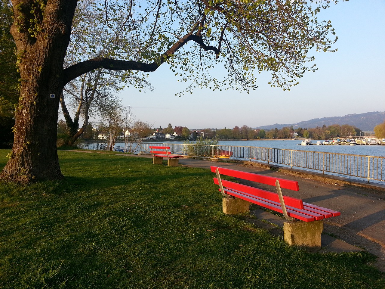 苦等多日！德甲射手榜上终于有人超越马尔穆什，他是药厂锋线支柱.