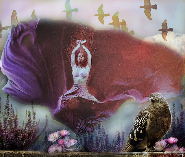 度最佳教练 度最佳教练