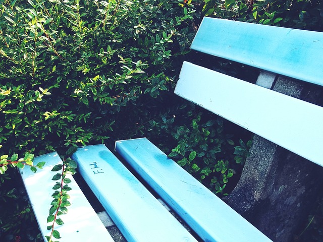 袭成为企业 袭成为企业